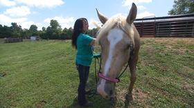 Video thumbnail: Tennessee Crossroads Tennessee Crossroads 3126