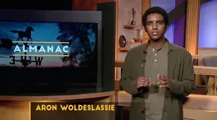 Weekly Essay | Aron Woldeslassie