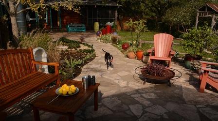 Video thumbnail: Central Texas Gardener Cultivate Holistic Gardens: Home, School, Urban Farm