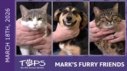 3/19/2026 | Lil Bit, Mr. Moose and Darla  | Mark's Furry Friends