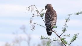 Video thumbnail: Local Routes FWC's City Nature Challenge, EcoCitizen Day, and More!