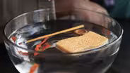 Make a Sink or Float Experiment
