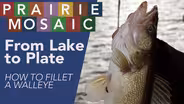 From Lake to Plate