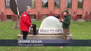 Time For Winter Prep in The WTTW Garden