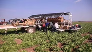 Farmworkers
