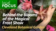 Behind the Blooms of the Magical Frost Show — Cleveland Botanical Garden