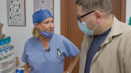 Video thumbnail: Crossing South Tuetanicos, Vet Volunteers, & Lobster Bistro