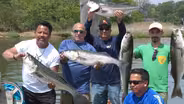 ASMFC imposes stricter limits on striped bass