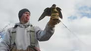 A look inside the ancient sport of falconry