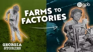 The End of Old Farming in Georgia: How Technology Changed Everything