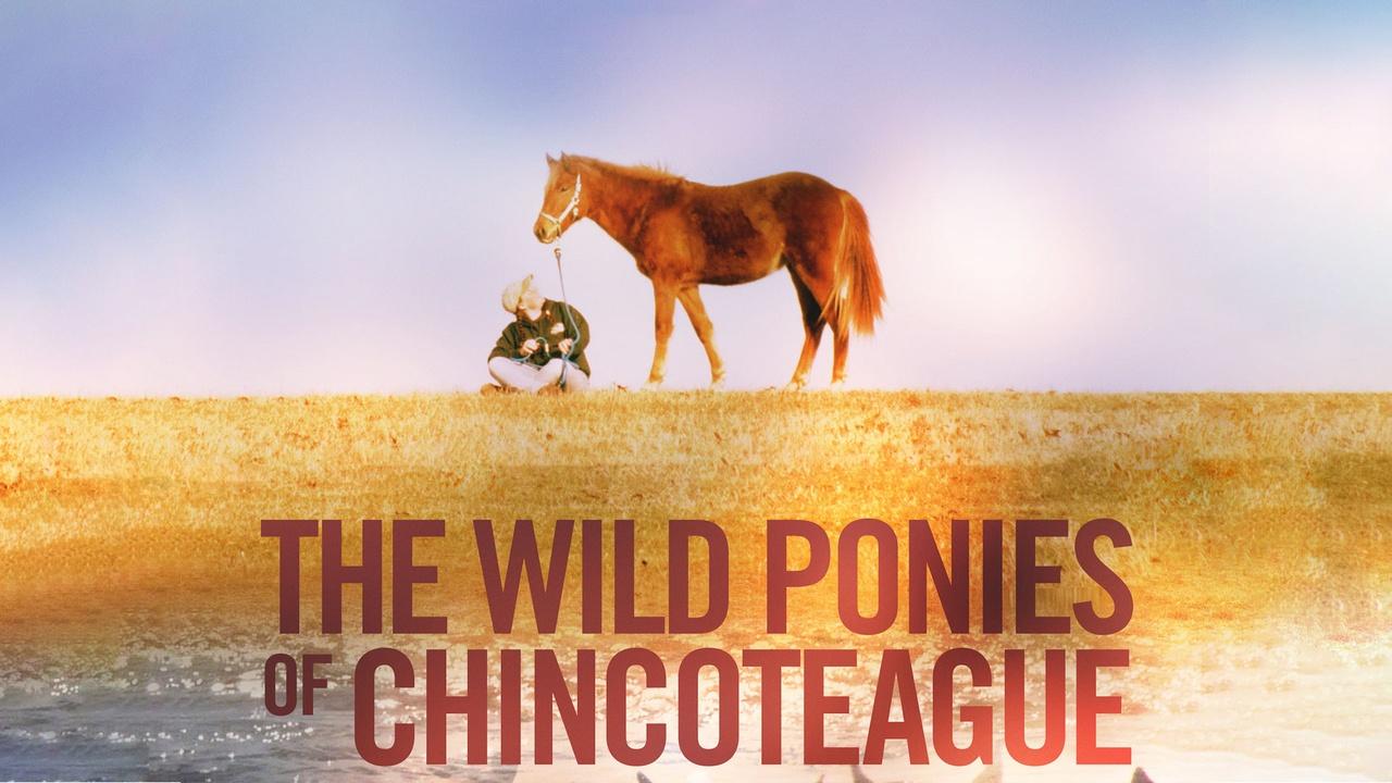 The Wild Ponies of Chincoteague