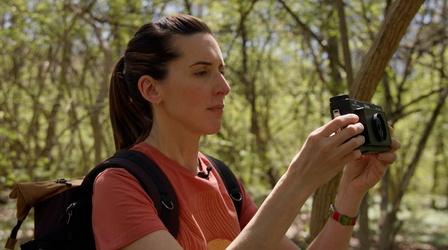 Video thumbnail: Broad and High Holly Romano, Dumplings, Alex Burgoyne Quartet