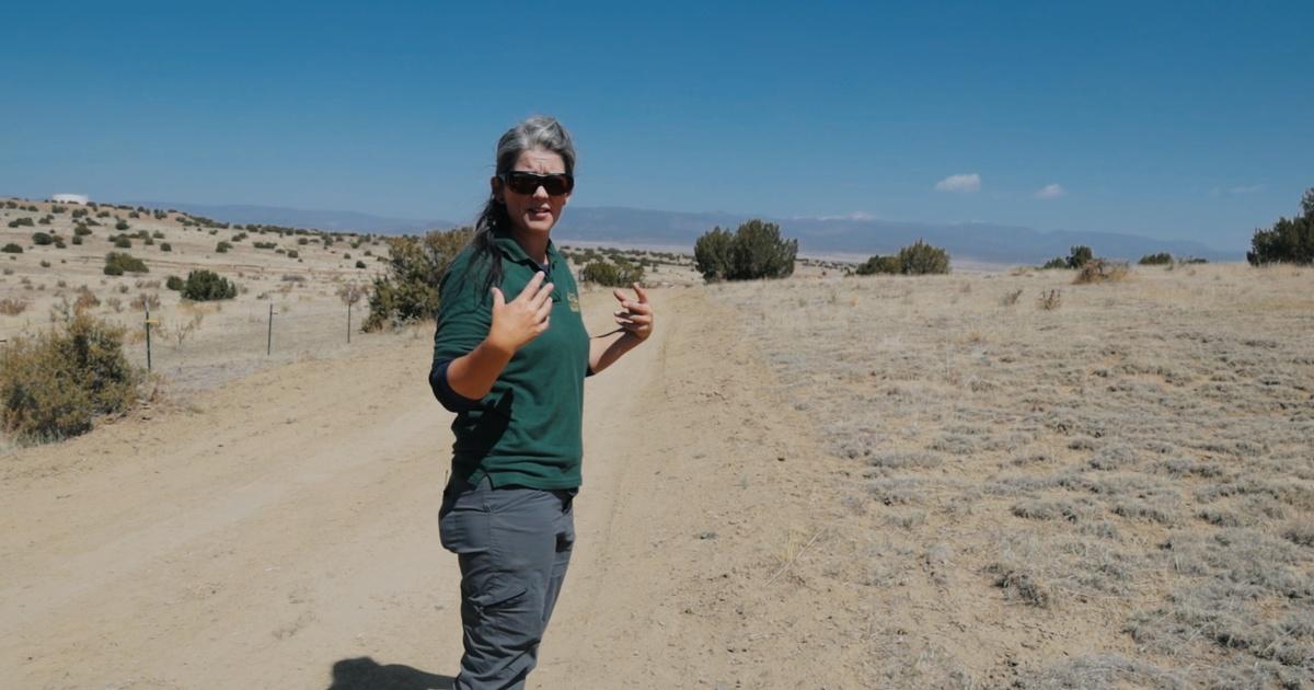 Colorado Voices | Ashes to ashes: Exploring natural burial in Colorado ...