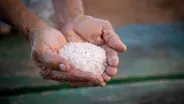 Kaua’i Pa’akai (salt)