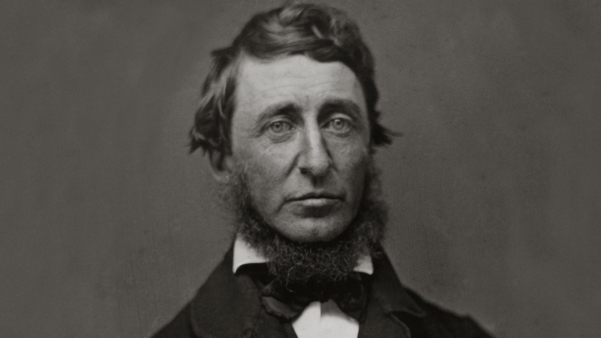 After young Thoreau fails at a career in writing, he retreats to a cabin in the woods.