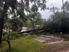 News Wrap: Severe storms across the South kill at least 7