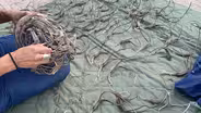 Cara Romero on Chemehuevi baskets
