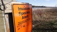 Adopt a Drain and Aquatic Invasive Species Detectors
