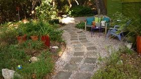 Video thumbnail: Central Texas Gardener Growing Garlic, Plant Rhythm & Shade Style