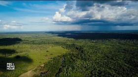 Video thumbnail: PBS NewsHour Amazon forest guardians fight to prevent ‘tipping point’