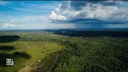 Amazon forest guardians fight to prevent ‘tipping point’