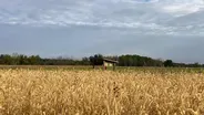 From Lac qui Parle to Crapola