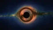 Four Types of Black Holes