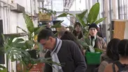Concordia Greenhouse