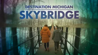 SkyBridge