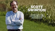 Scott Swinton | University Distinguished Professor