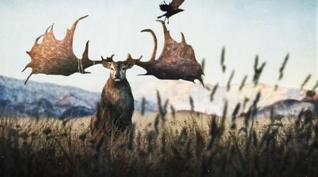 Video thumbnail: Eons When Giant Deer Roamed Eurasia