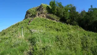 Loess Hills State Forest