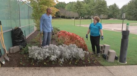 Video thumbnail: The Family Plot Planting Fall Flowers & Garlic