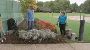 Planting Fall Flowers & Garlic