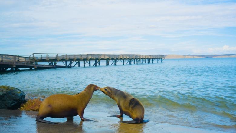 Climate California Image