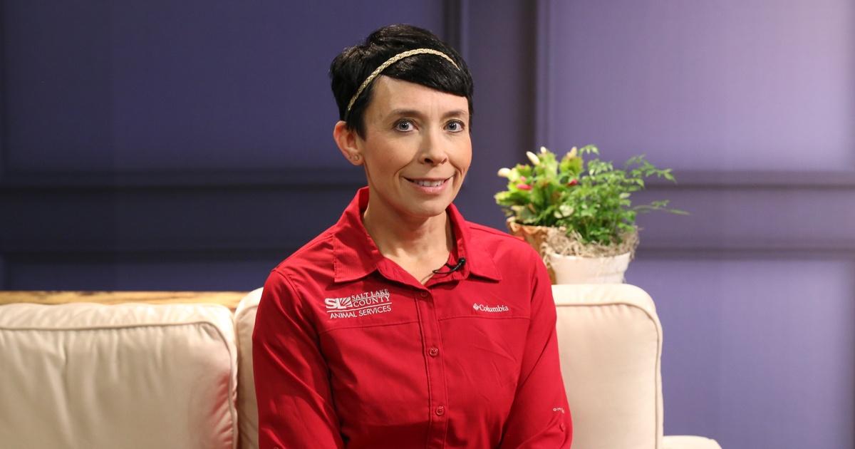 Contact Salt Lake County Animal Services 10 Yr NoKill Anniversary PBS