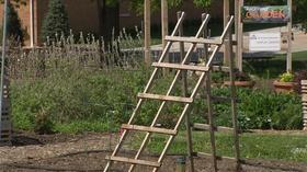 Video thumbnail: Backyard Farmer Backyard Farmer: Landscape
