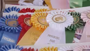 Fryeburg Fair