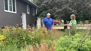 Rain Gardens