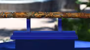 Appraisal: 1897 San Antonio Folk Art Carved Cane