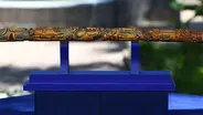 Appraisal: 1897 San Antonio Folk Art Carved Cane
