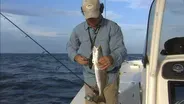 Pamlico Sound Mixed Bag