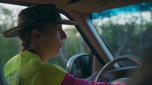 Cruising the Everglades with a Burmese Python Hunter