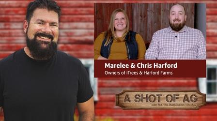 Video thumbnail: A Shot of AG S03 E36: Chris & Marlee Hartford| iTrees business
