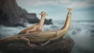 The Triassic Reptile With "Two Faces"