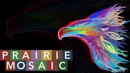 Prairie Mosaic 1207