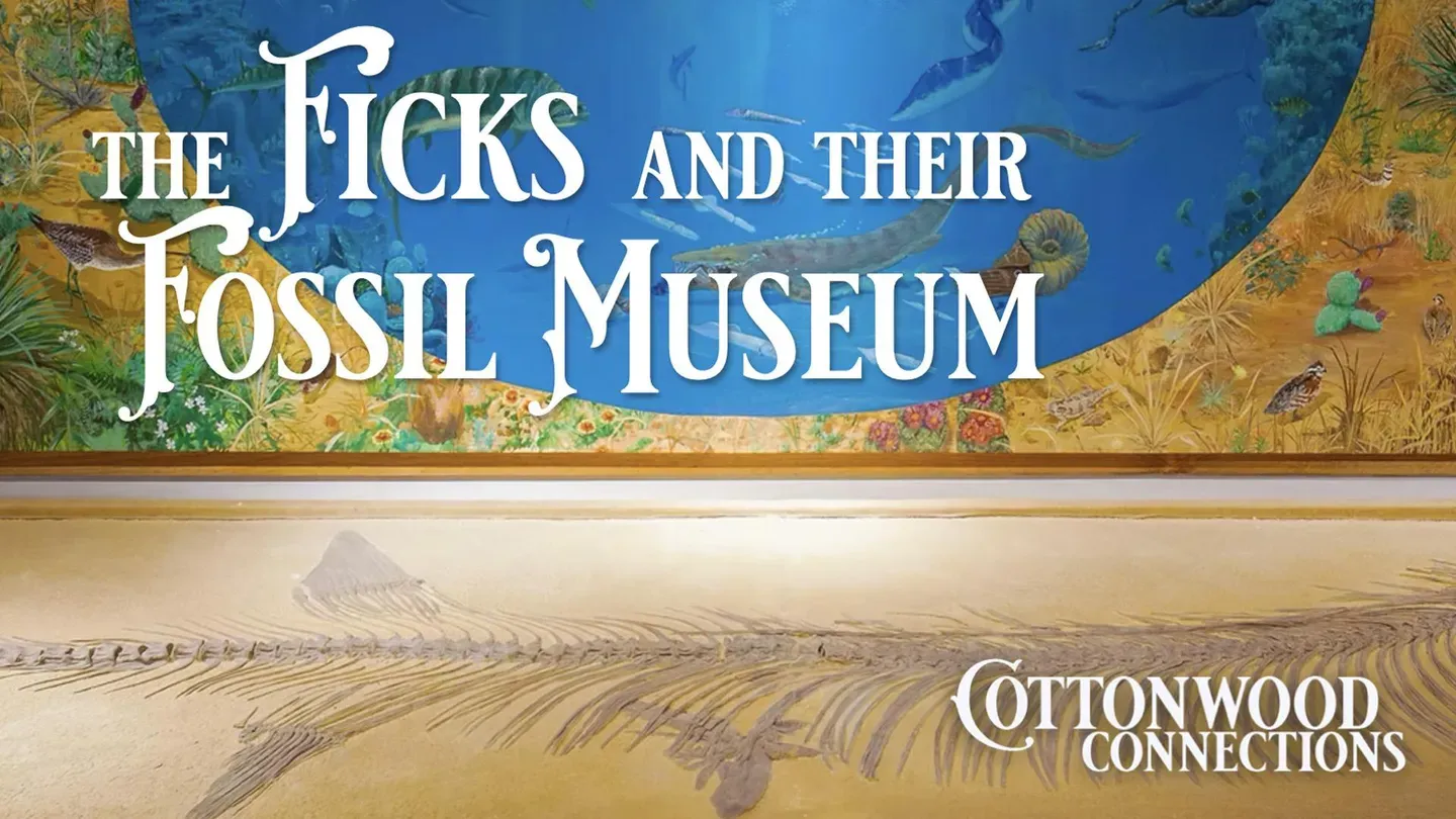 The Ficks and Their Fossil Museum