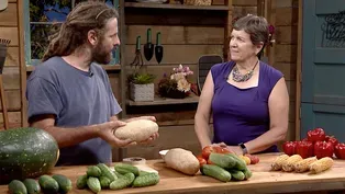 Save your own vegetable seeds