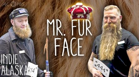Video thumbnail: Indie Alaska What's it take to win Alaska's competitive beard contest?