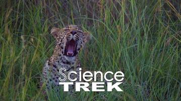 Science Trek | D4K: Endangered Species | PBS Science Trek | D4K: Endangered Species | PBS